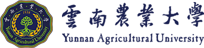 kaiyun官方登录入口